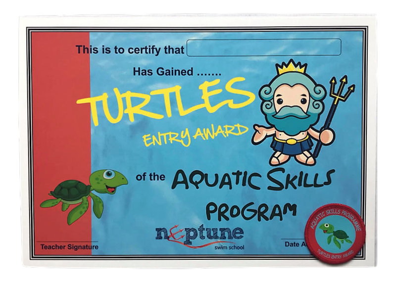 Turtles Entry