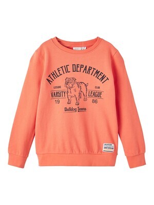 KIDS Trui sweater - DELONS - coral