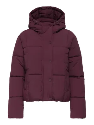 Korte puffer jas - WONDER - bordeaux Korte puffer jas - WONDER - bordeaux