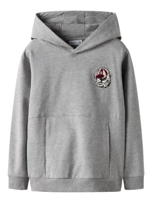 KIDS sweater hoodie - STEVEN - grijs