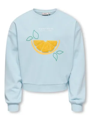 KIDS sweater - TERRA - blauw