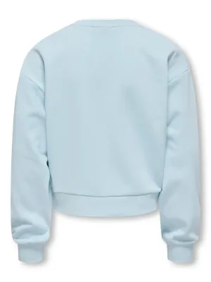 KIDS sweater - TERRA - blauw