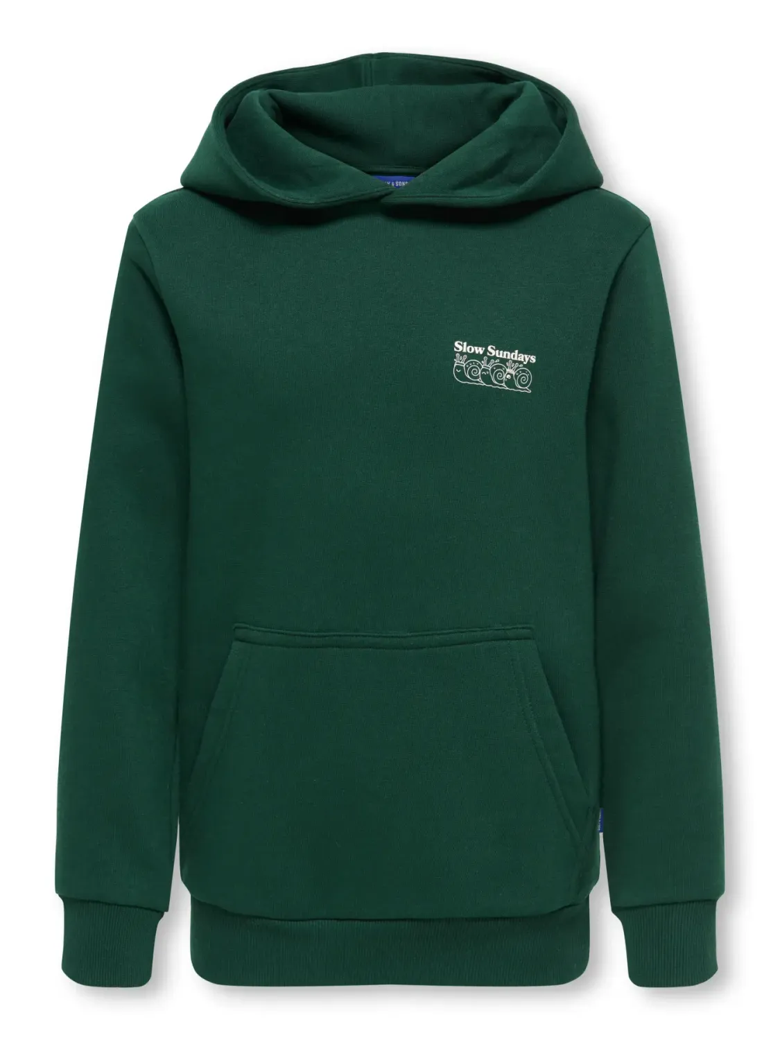 KIDS sweater hoodie - CERES - groen