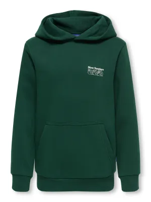 KIDS sweater hoodie - CERES - groen