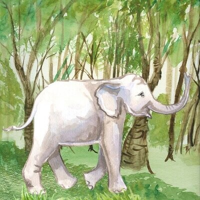 GAJAH PETAK - Der weiße Elefant - Hari Andri Winarso - Manual english or german