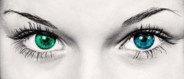 GESUNDE AUGEN ESSENZ  - Hari Andri Winarso - HANDBUCH IN DEUTSCHER SPRACHE