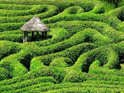 ENERGETISCHE LABYRINTH AKTIVIERUNG - Hari Andri Winarso - Manual english or german