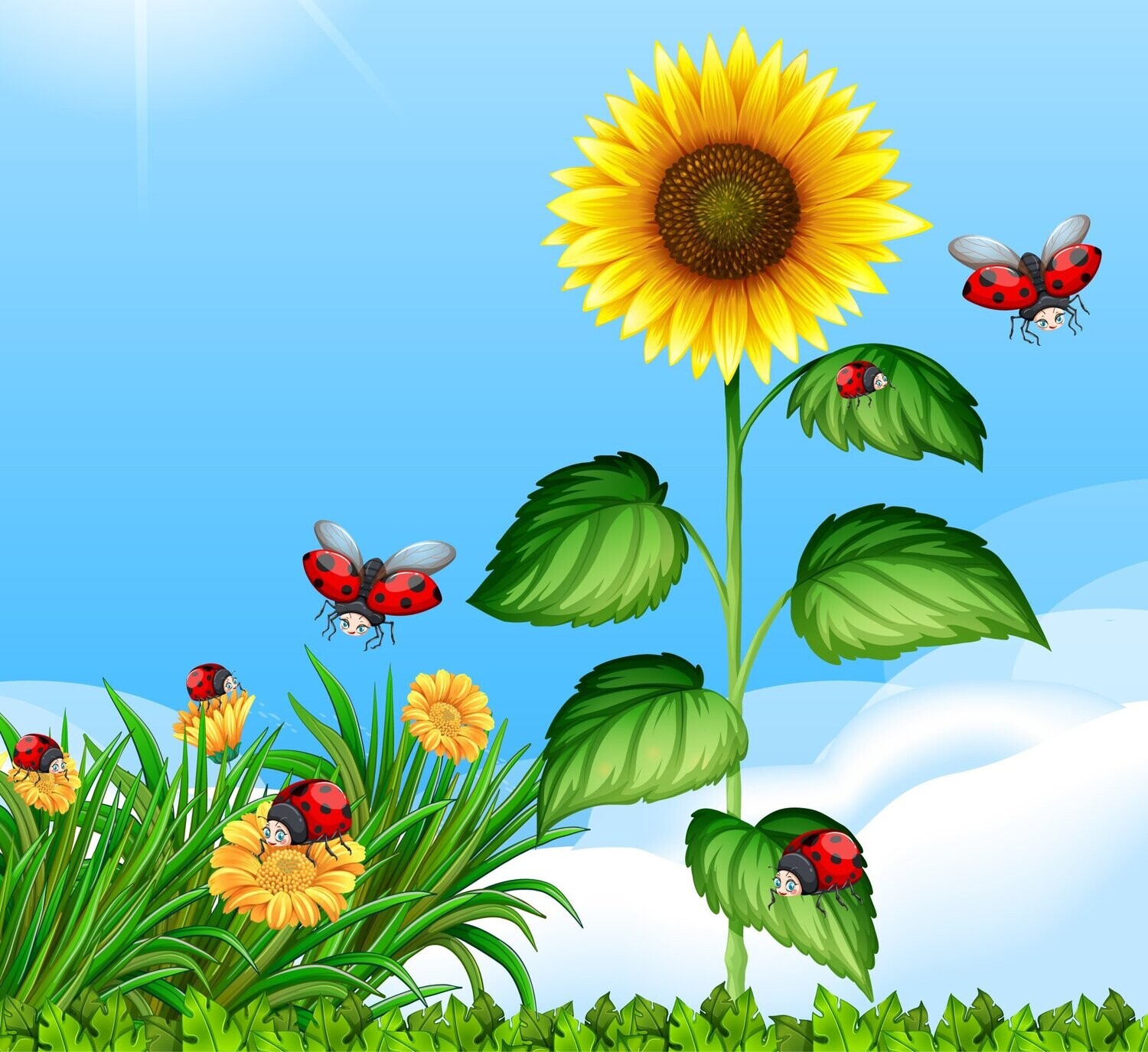 SONNENBLUMEN-ESSENZ - Hari Andri Winarso - Manual english or german