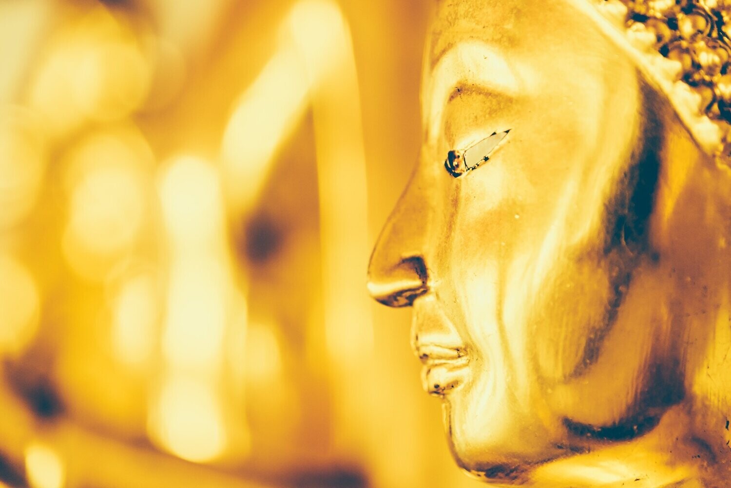 VIER KOSMISCHE DIAMANTERMÄCHTIGUNGEN ZU VIDYADHARA TANTRA PLUS SIDDHA-RIDDHA TANTRA™ - Ramón Martínez López