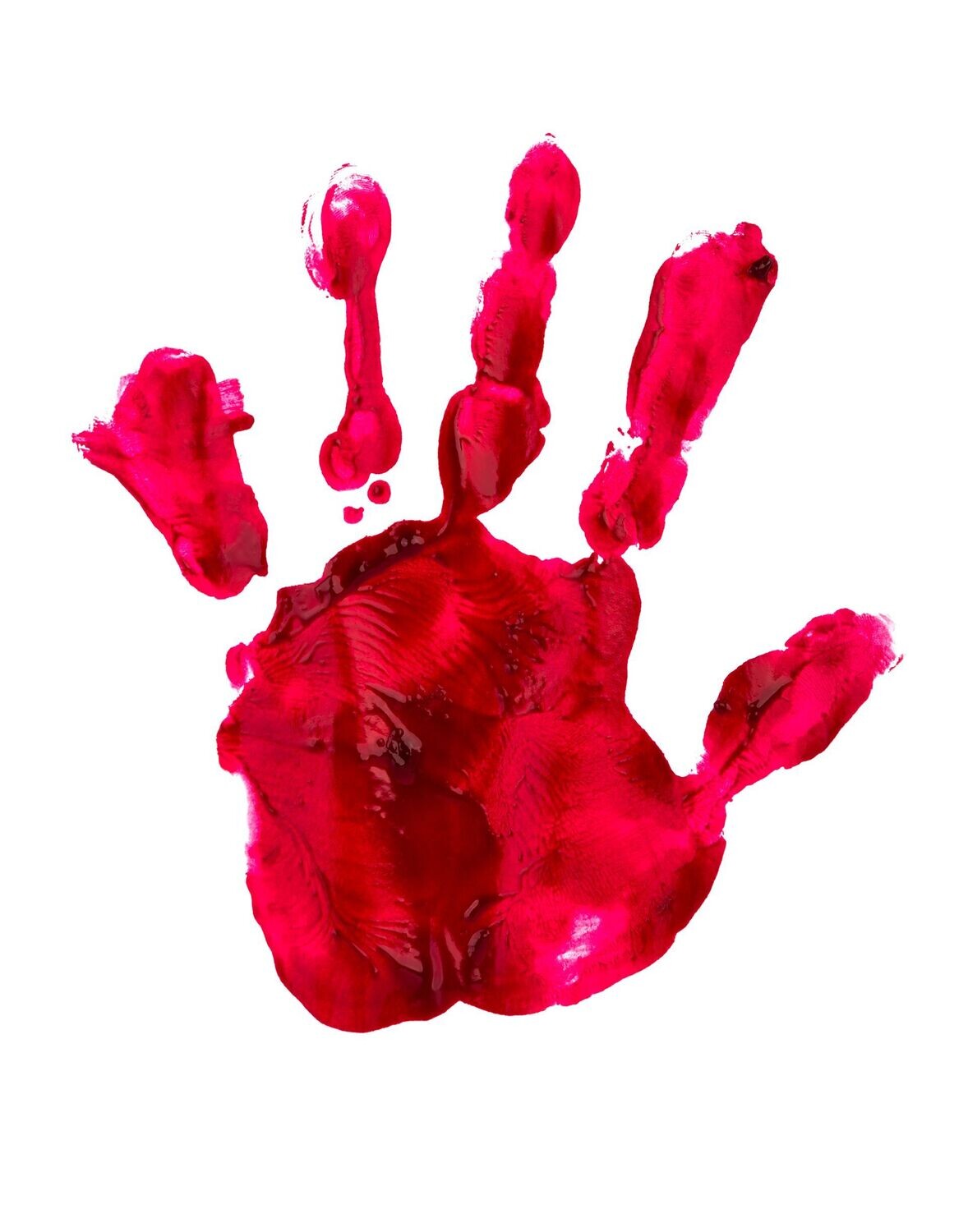 Magie des Blutes Reiki - Ekaterina Fedosova - HANDBUCH IN DEUTSCHER SPRACHE