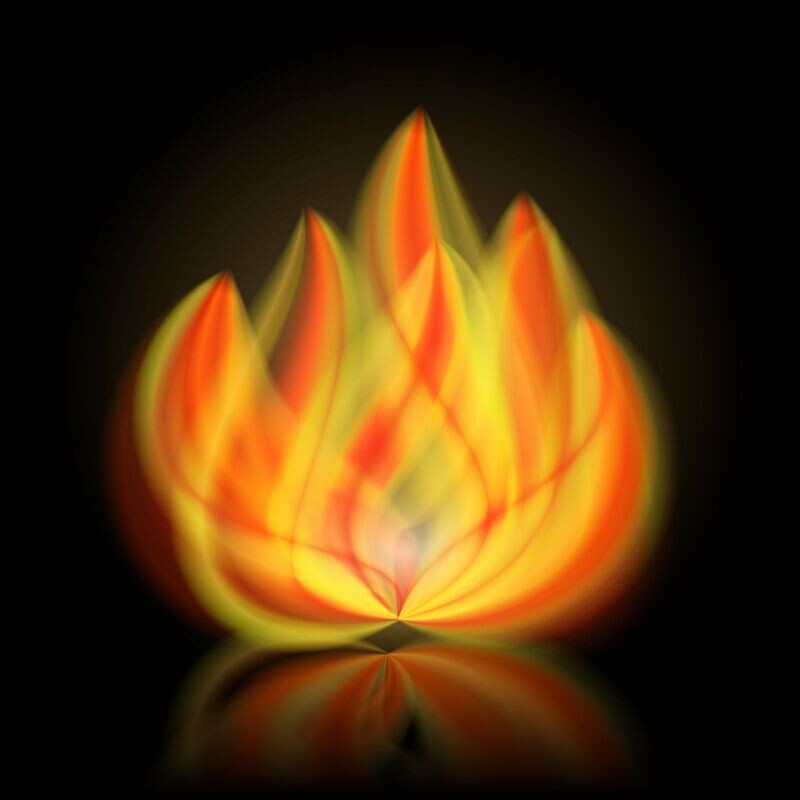 Reinigende Flamme Christi - Ekaterina Fedosova - HANDBUCH IN DEUTSCHER SPRACHE