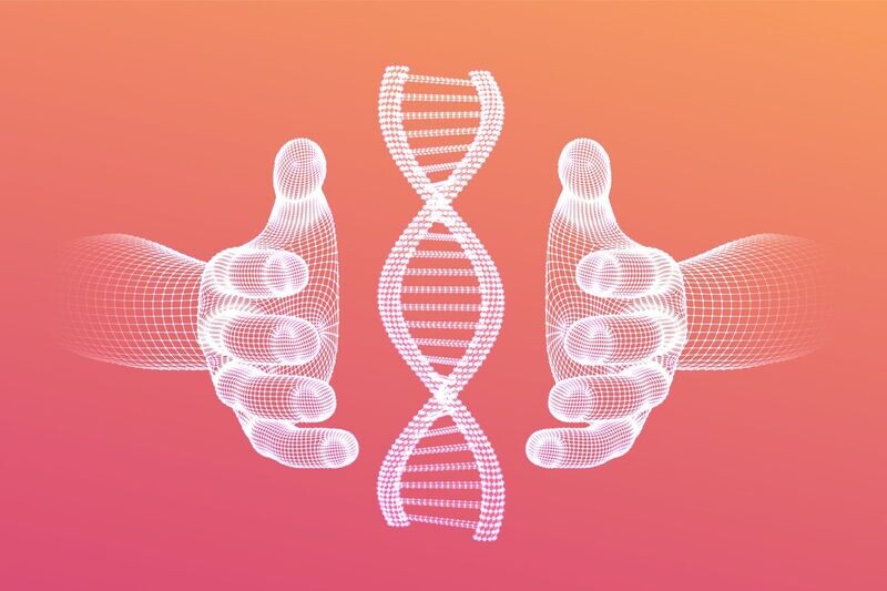 ESSENTIELLE DNA-SCHUTZSCHILD-AKTIVIERUNG - Ferry Puthut Handoko - Manual in english or german