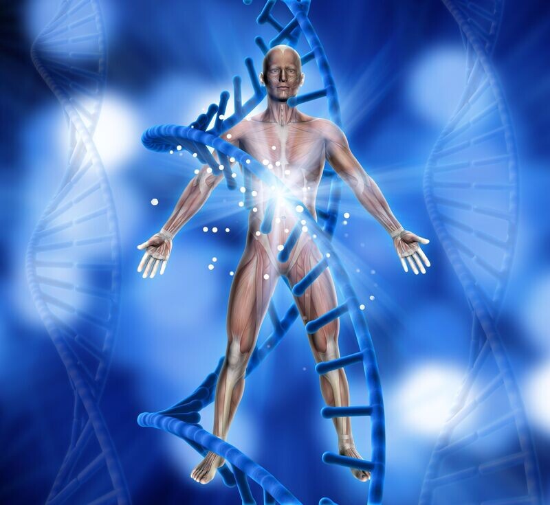 DNA-ALGORITHMUS WIEDERHERSTELLUNGS-ENERGIE - Ferry Puthut Handoko - Manual in english or german