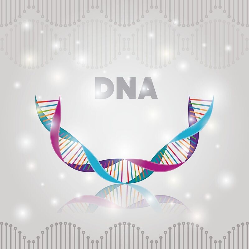 ULTIMATIVE DNA LIGHT INTEGRATIVE 2016 - Hari Andri Winarso - HANDBUCH IN DEUTSCHER SPRACHE