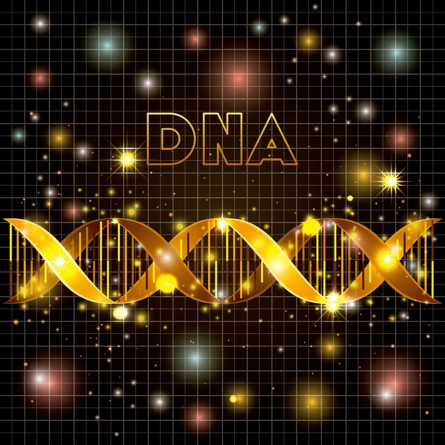 SUPER DNA LIGHT INTEGRATIVE - Fernausbildung - HANDBUCH IN DEUTSCHER SPRACHE