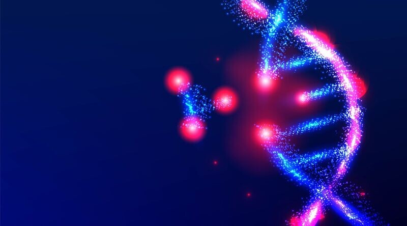 DNA LIGHT INTEGRATIVE - DNA LICHT INTEGRATIV - Fernausbildung