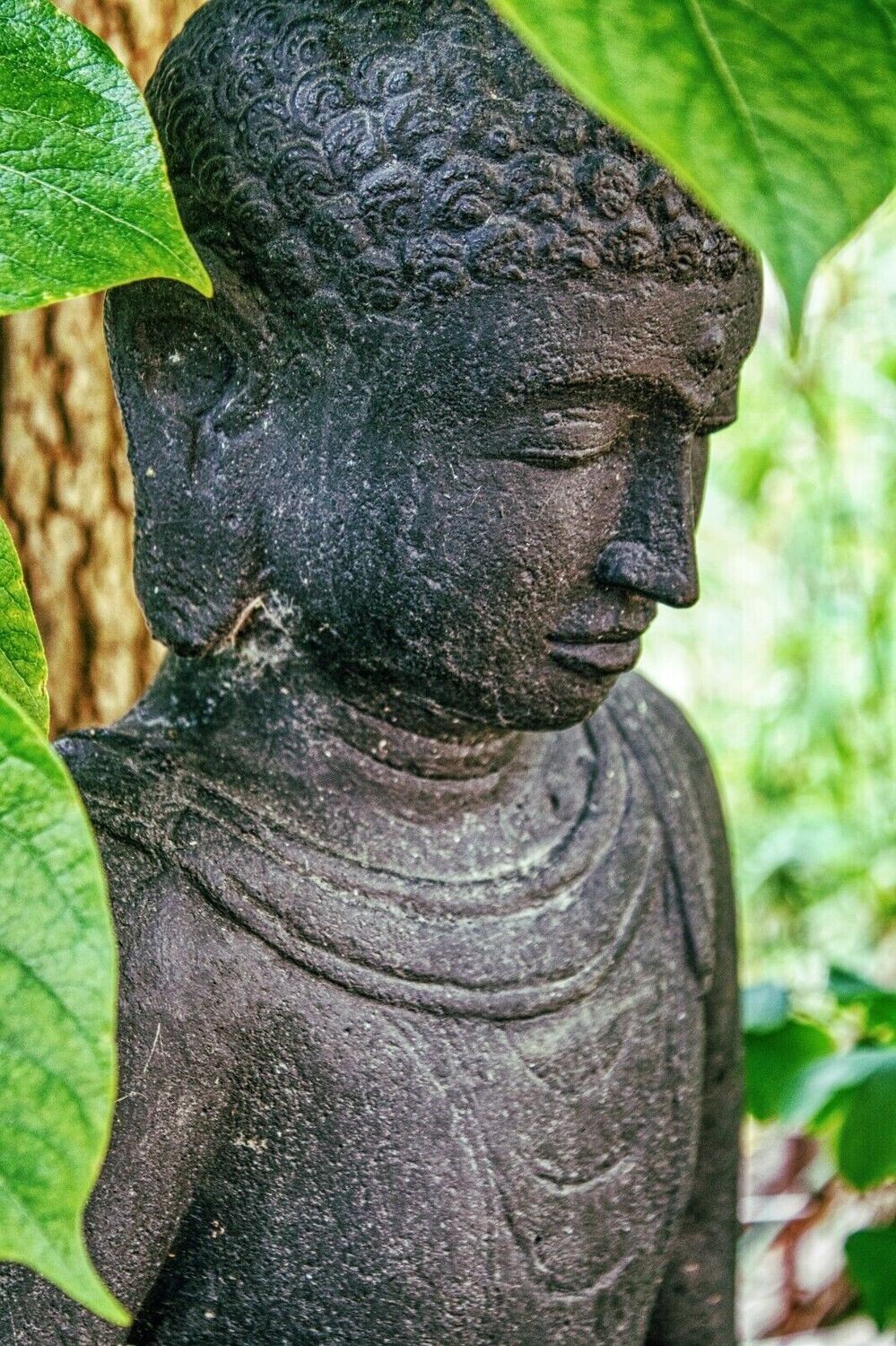 REGENBOGEN HEILENERGIE DES MEDIZIN BUDDHAS - Hari Andri Winarso - Manual english or german