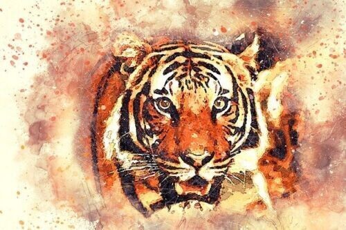 Macan Sewu - Tausend Tiger - Hari Andri Winarso - Manual english or german