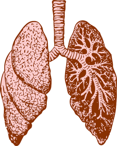 Lung Essence - by Hari Andri Winarso - 2019