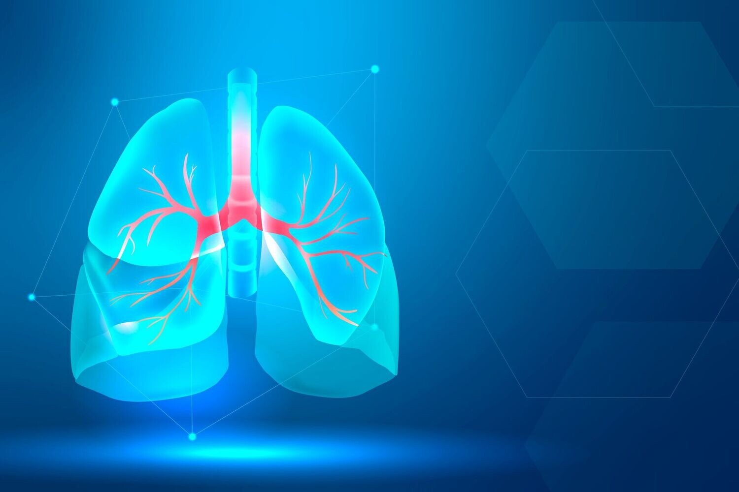 LUNG ADAPTION EMPOWERMENT - by Hari Andri Winarso - 2018