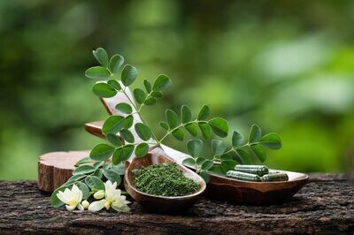 Moringa Oleifera Reiki  - Dennis Hauth - Manual in German
