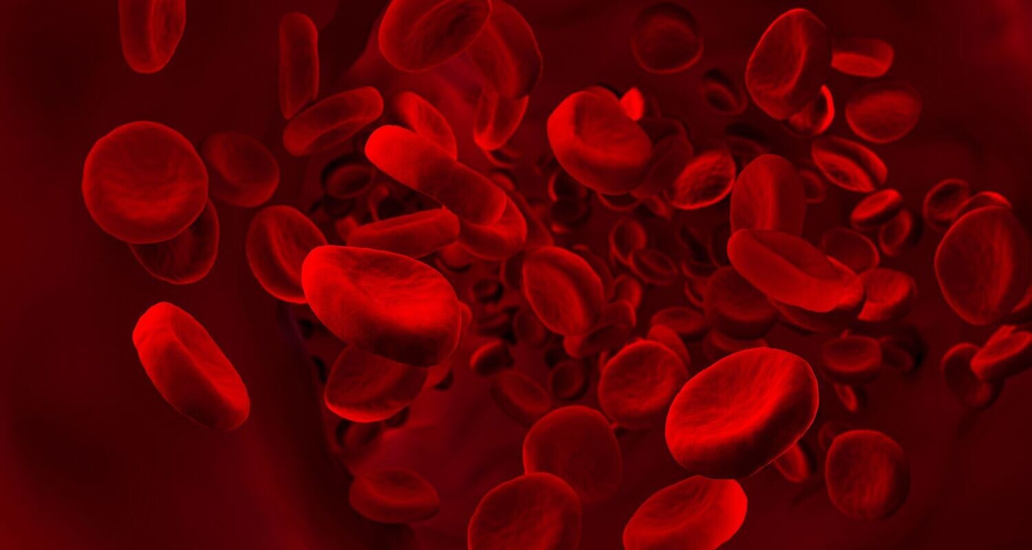 ​BLOOD HEALTH MAINTENANCE ATTUNEMENT - by Hari Andri Winarso - 2023