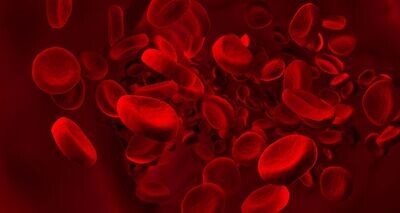 ​BLOOD HEALTH MAINTENANCE ATTUNEMENT - by Hari Andri Winarso - 2023