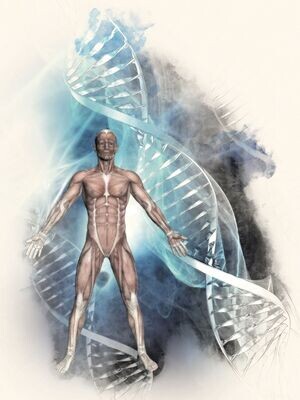 Mitochondria Shakti DNA Aktivierung - Ramón Martínez López