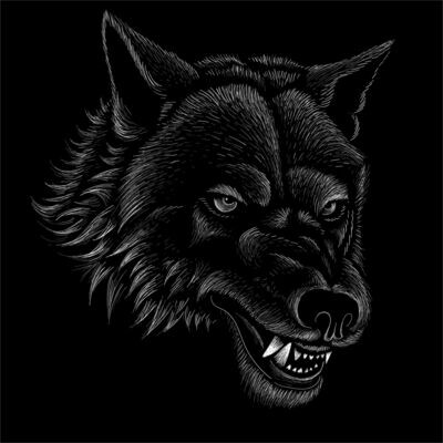 Schwarzer Wolf Schutz Energie - Jalu Wasonoadi - MANUAL IN GERMAN OR IN ENGLISH