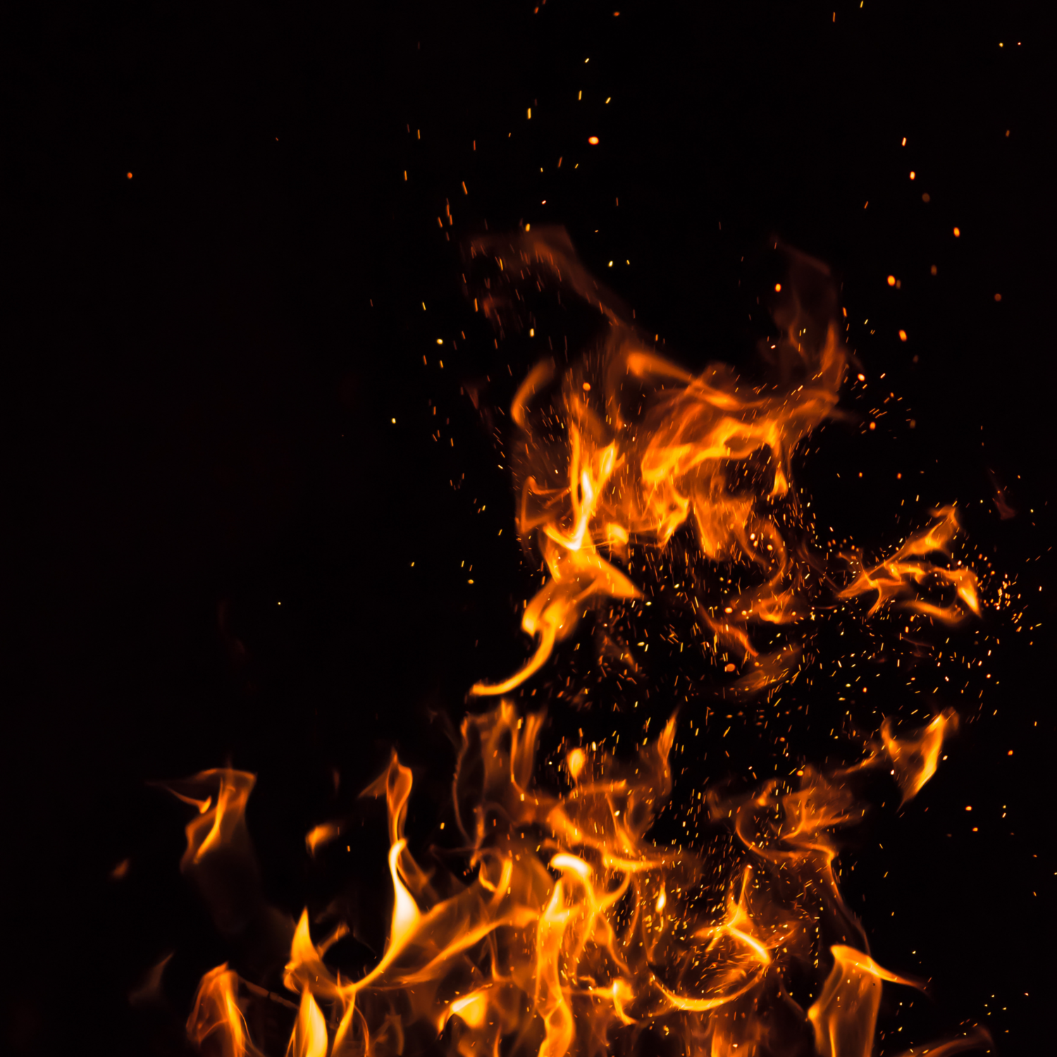 Black Fire Ecstasy - Lavinia Sina Szendrei - HANDBUCH IN DEUTSCHER SPRACHE