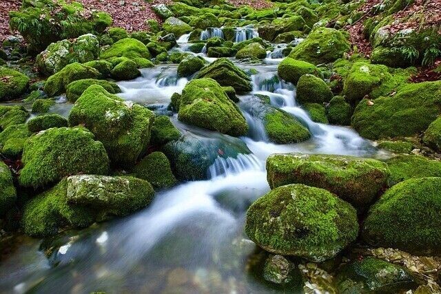 Magische Heilquellen Reiki - Frische, Reinigung, Erneuerung - Magical Springs Water Reiki—Fresh, Cleansing, Renewal - Manual in English or in German