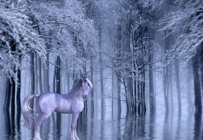 PIXIE UNICORN REIKI - ELFEN EINHORN REIKI - MANUAL IN ENGLISH OR IN GERMAN