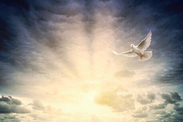 Engel des Friedens - Angels of Peace - Manual in English or in German