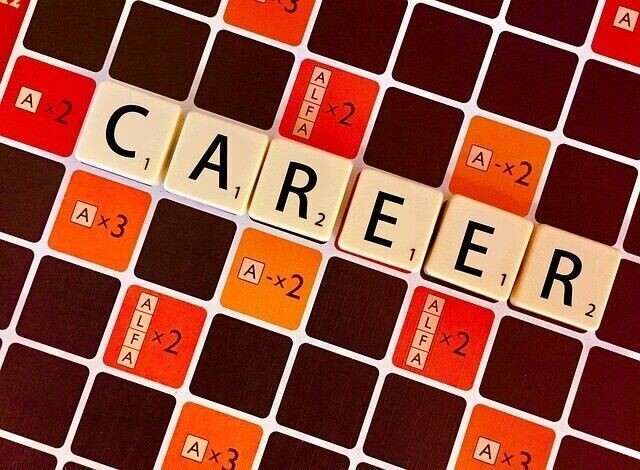 Chancen und Erfolg im Bereich Bildung und Karriere-Ermächtigung - Opportunities & Success in Education & Career Empowerment - Manual in English or in German