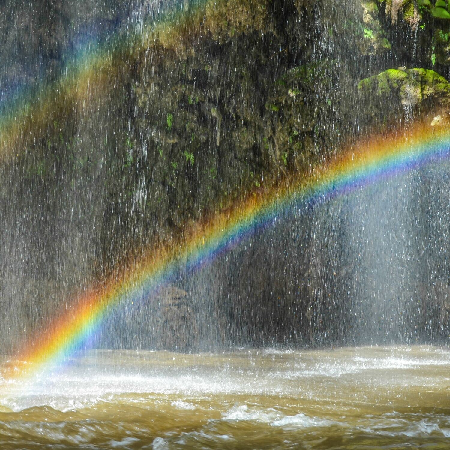 Hüter der Regenbogen Reiki   -  Silvia Opali Dentler - HANDBUCH IN DEUTSCHER SPRACHE