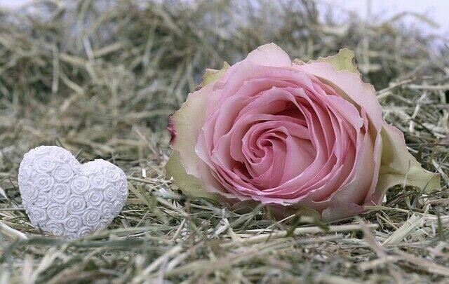 Magisches Rosa Pulver der Liebe - Magic Pink Powder of Love - Ekaterina Fedosova - HANDBUCH IN DEUTSCHER SPRACHE