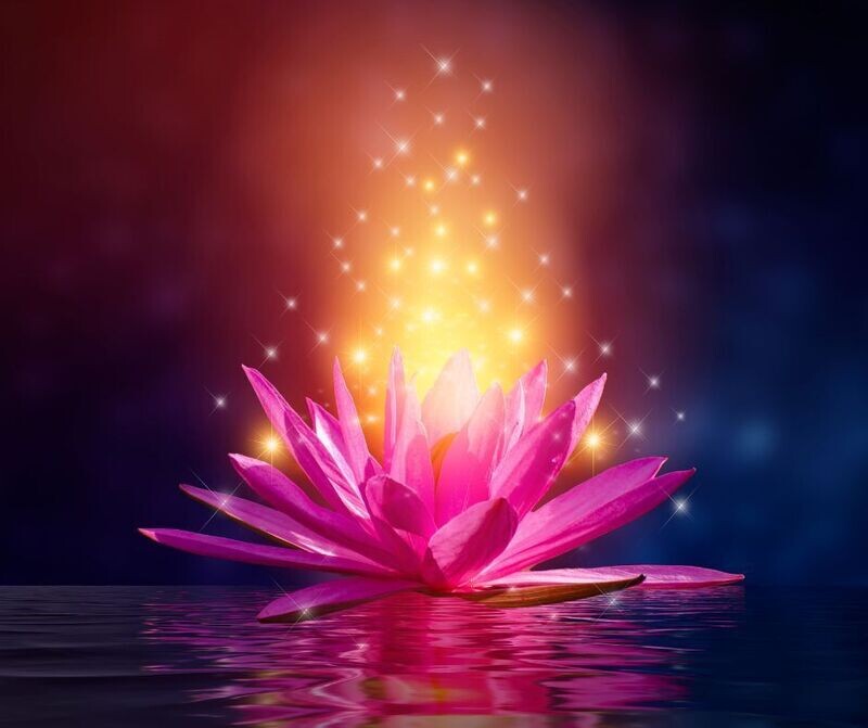 Feuer Lotus Reiki - Ekaterina Fedosova - ?? Deutsch ODER ?? English