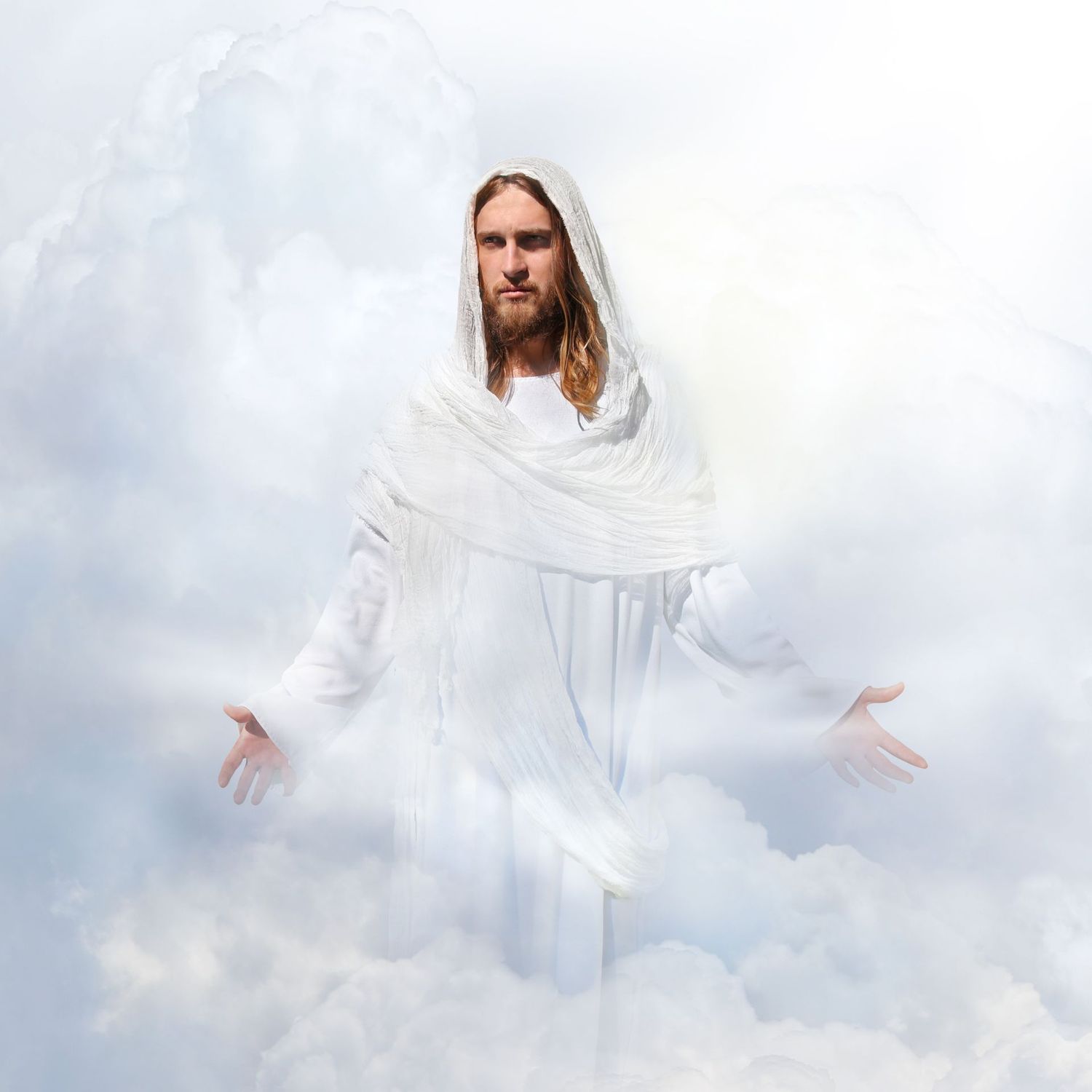 Die Weihe von Jesus als König ® -  Angelica Saerbeck - 2024 - HANDBUCH IN DEUTSCHER SPRACHE