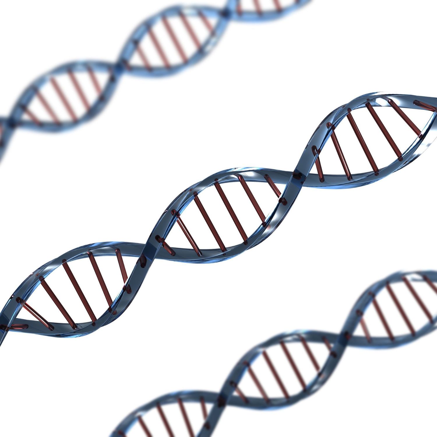 DNA ASCENSION ATTUNEMENT - by HARI ANDRI WINARSO - 2024