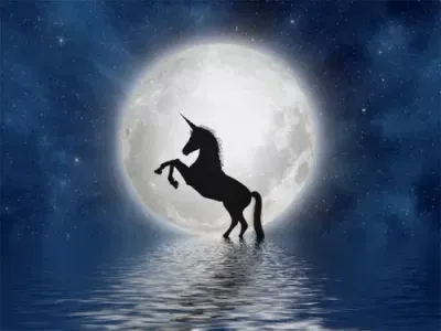 Einhörner abrufen Reiki - Calling down unicorns reiki  - MANUAL IN ENGLISH OR IN GERMAN