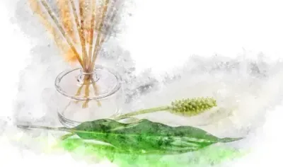 ENERGIE FÄHIGKEITEN REIKI - ENERGY SKILLS REIKI - Manual in English or in German