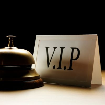VIP- Upgrade Energien - Ekaterina Fedosova - HANDBUCH IN DEUTSCHER SPRACHE