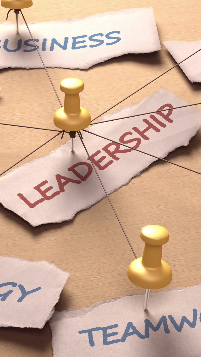 MAGIK POWDER OF LEADERSHIP - by Manuela Fasoli - 2024