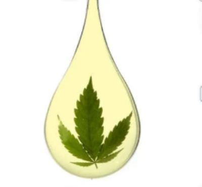 THC-SCHWINGUNGSESSENZ - ÄTHERISCHES TETRAHYDROCANNABINOL - Letizia Ana'Leana Becker
