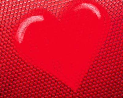 GITTERNETZ DER LIEBE - DIE AKTIVIERUNG DER LIEBESKAMMER IN DEINEM HERZEN - Manuela Marx