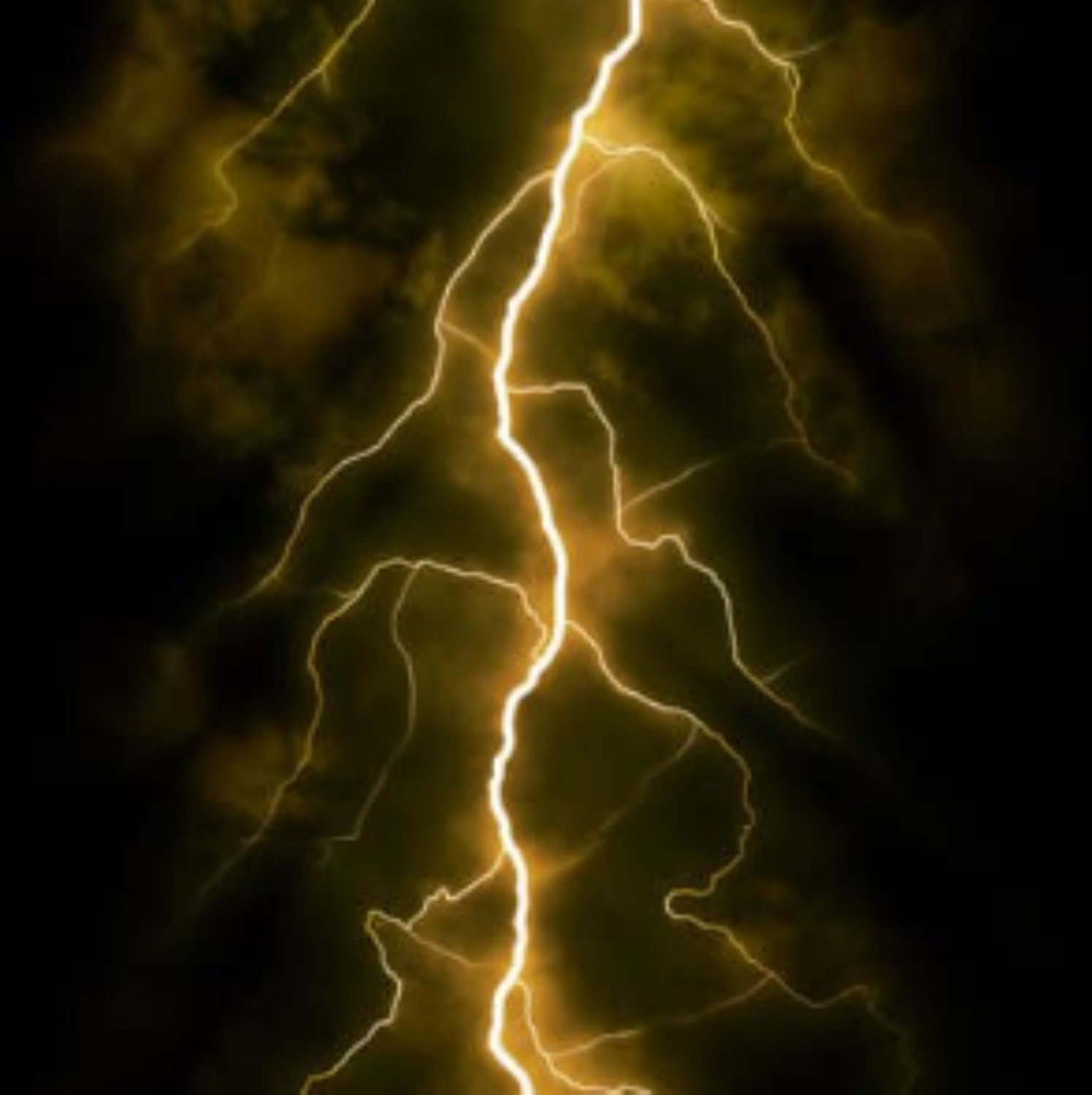 GOLDENER BLITZ - Sabina Borchert-Truong