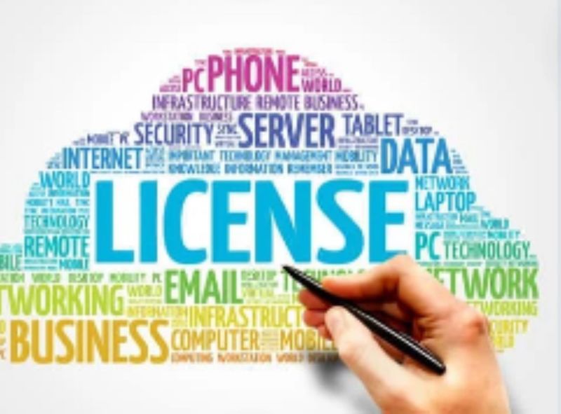 Licence for living - Daniela Dahl