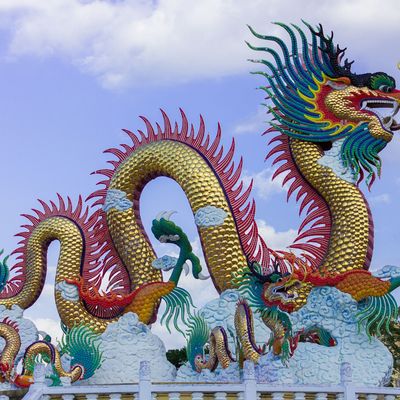PROTOKOLL DES DRAKONISCHEN SCHILDMEISTERS  -  KP. HARI ANDRI WINARSO WARTONAGORO - 2024