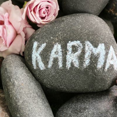 The Karmic Flush Empowerment - by Jay M. Burrell