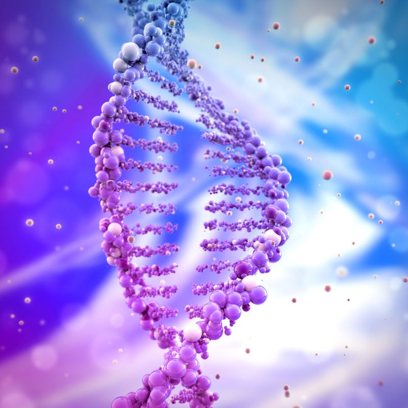 24 STRAND DNA ACTIVATION EMPOWERMENT 2014 - Rosemary Noel - HANDBUCH IN DEUTSCHER SPRACHE